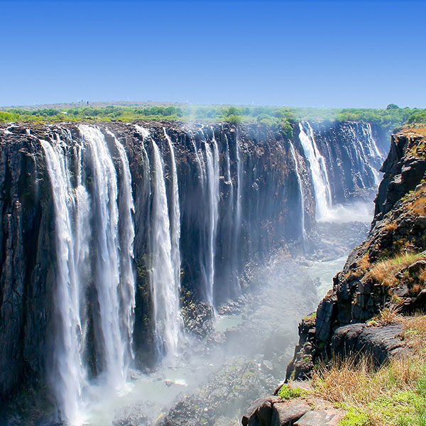 ليفينغستون